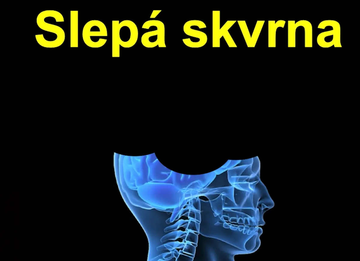 Práce se skrytými vzorci v hlavě v kurzu Kurvítka v hlavě